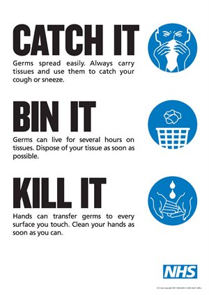 Catch it bin it kill it image